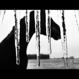 Meet your Posher, Addison